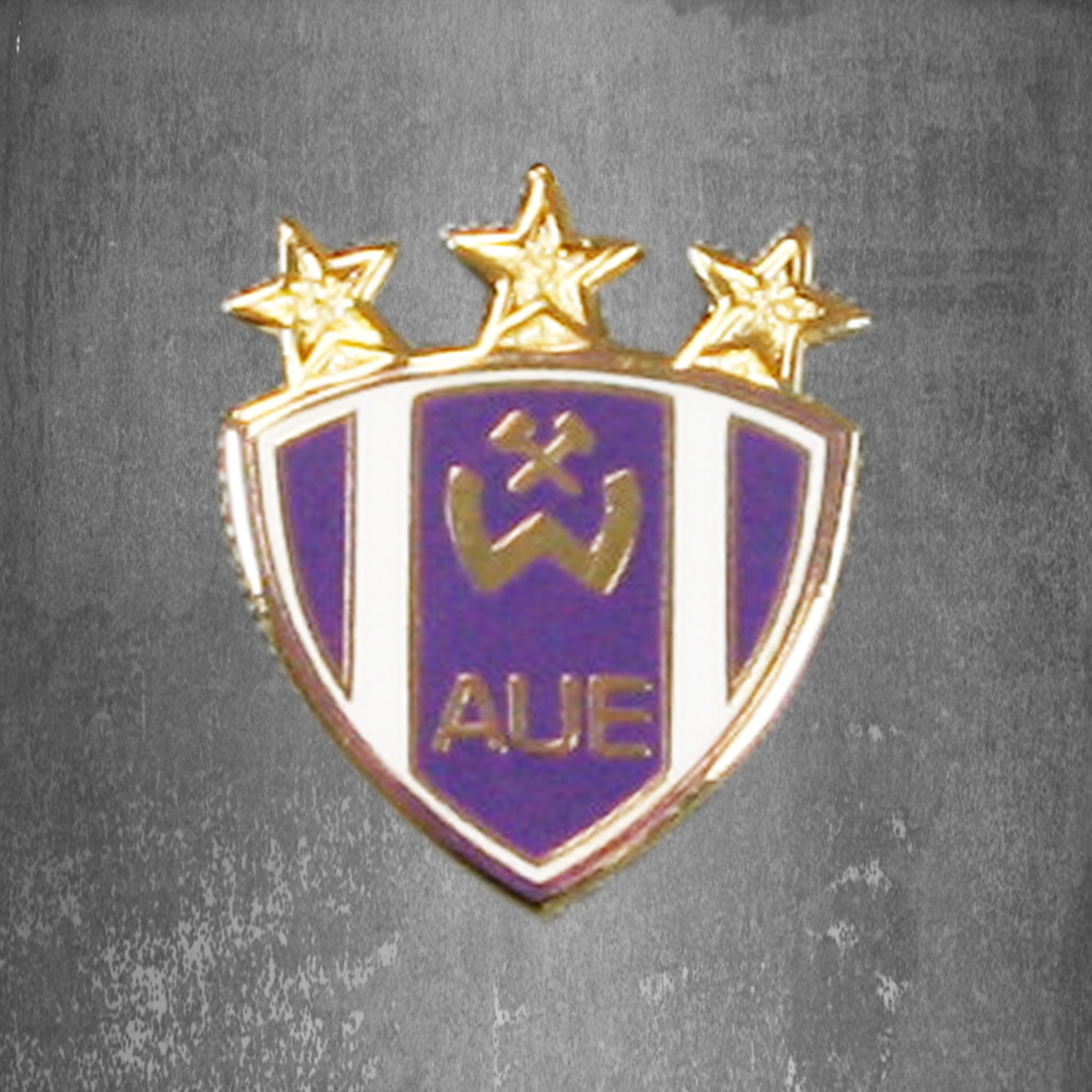 1050_Pin-Wismut Pin BSG STERNE